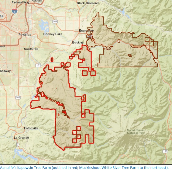 white river tree farm map