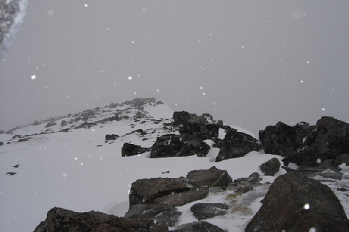 Top of Tiffany Mountain