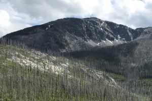 Old Baldy