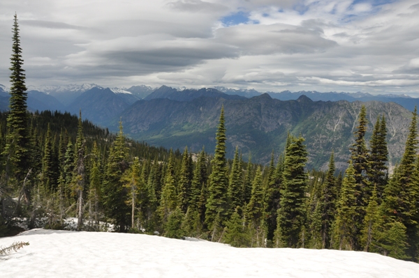 wenatchee national forest