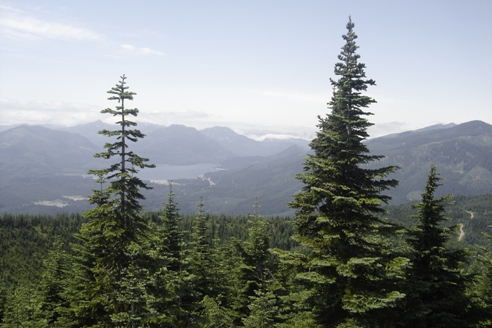 view from Amabilis Mountain