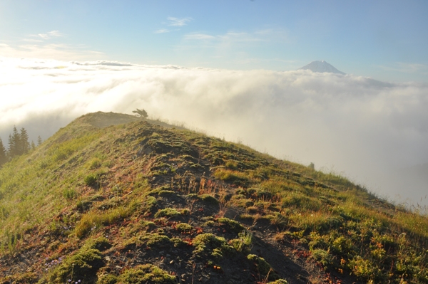 Mount Adams 