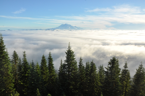 Mount Rainier 