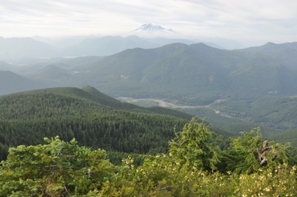 Mount Rainer