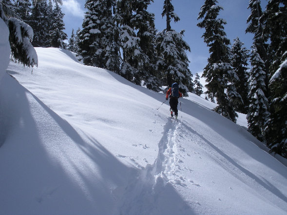 Backcountry skiing