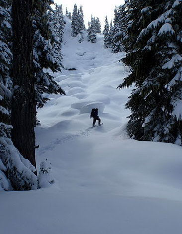 Snowshoeing