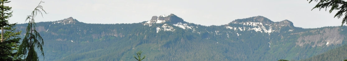 cispus lookout