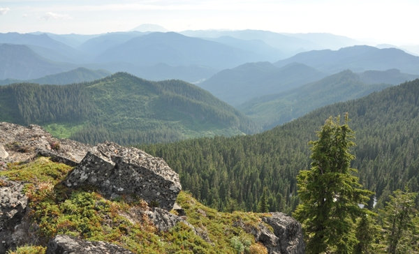 Mt. St. Helens 