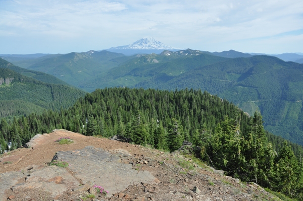 Mount Adams 