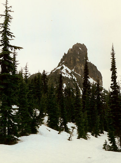 Cathedral in spring