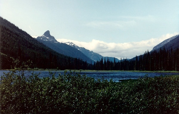 Tucquala Lake