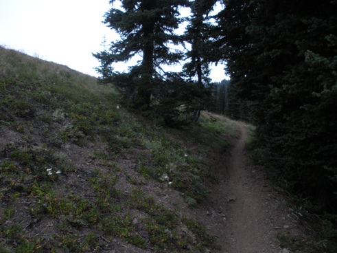 Jolly Mountain trail