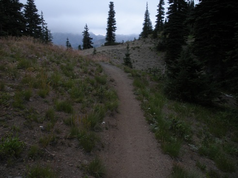 Jolly Mountain trail