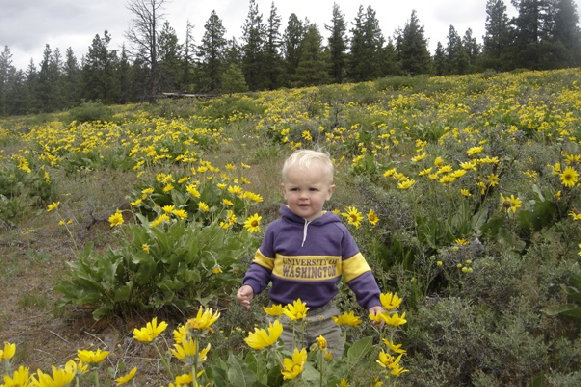 Spring Flowers