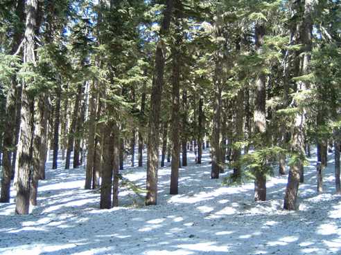 Spring hiking 