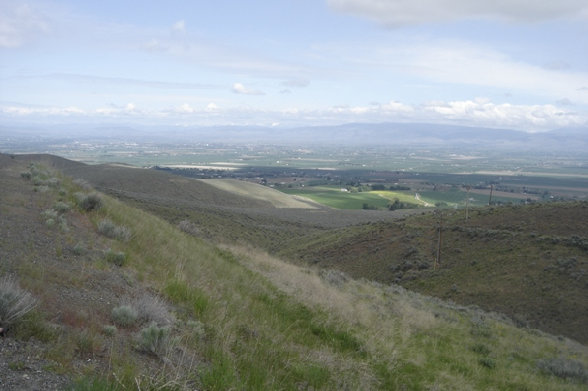 Naches Valley 