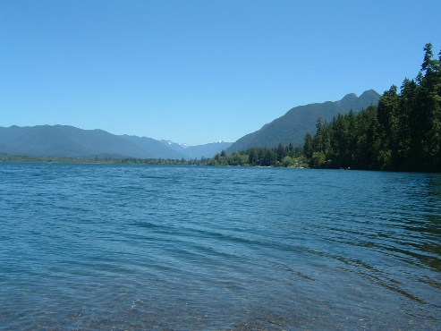 Lake Quinault 