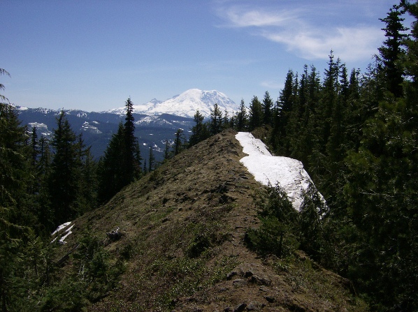 Mount Rainier 