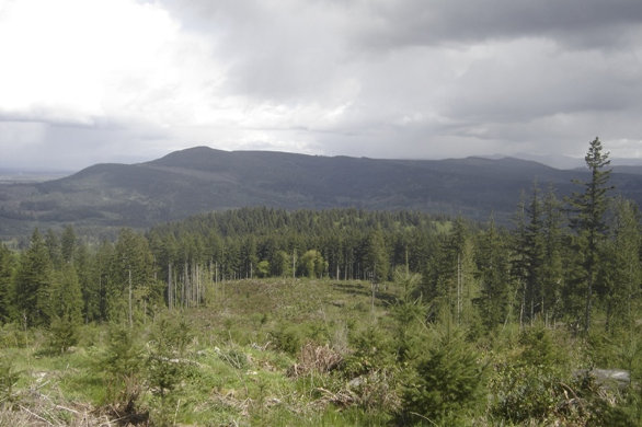 Tenino Hiking