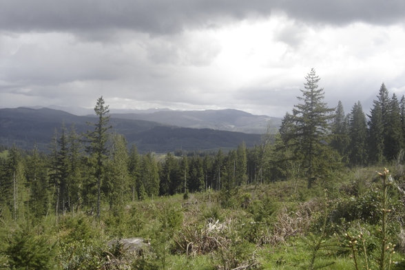 Views hiking near Tenino