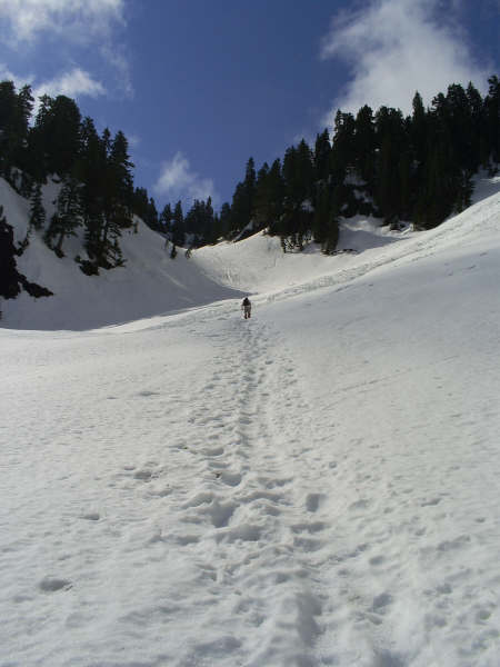 Reaching Lone Tree Pass