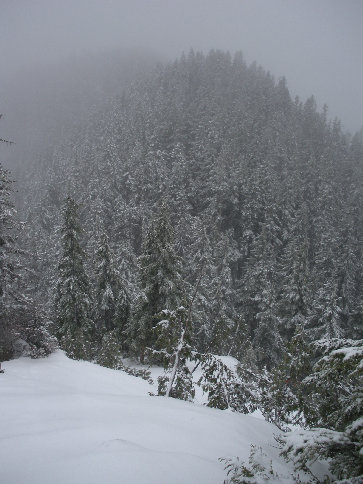 Snowshoeing Round Mountain