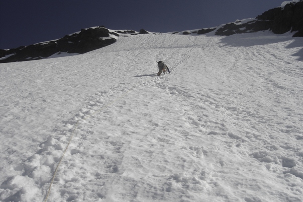 Climbing Whitehorse Mountain