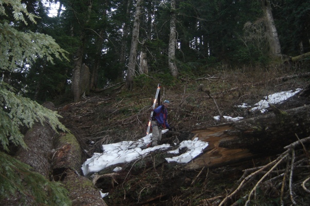 Trail to Lone Tree Pass