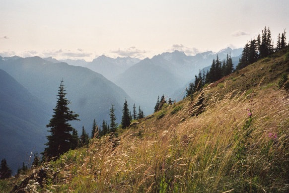 Desolation Trail