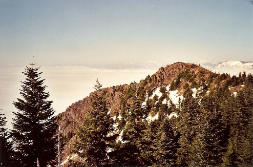 Lower summit of Dixie 