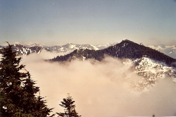 Mt. Tenerriffe from Dixie