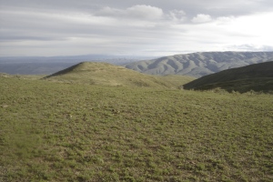 Ellensburg 