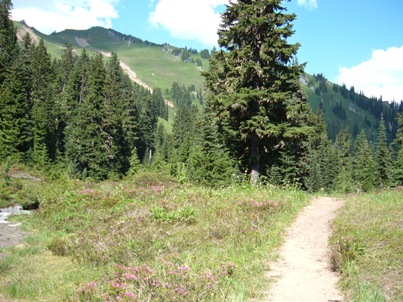 Green Mountain trail 
