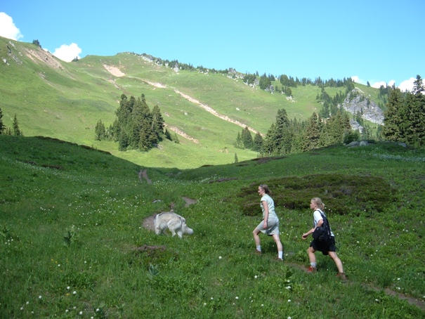 Green Mountain Washington