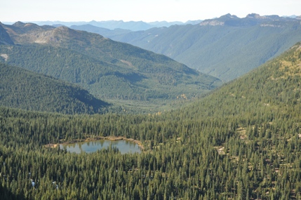 gifford pinchot