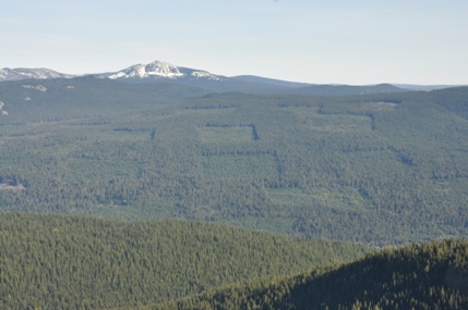 Hamilton Buttes