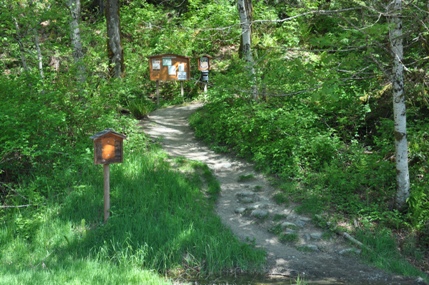 haybrook lookout trail