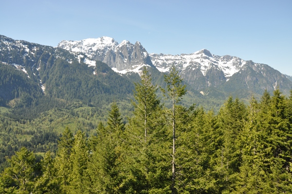 Mount Index 