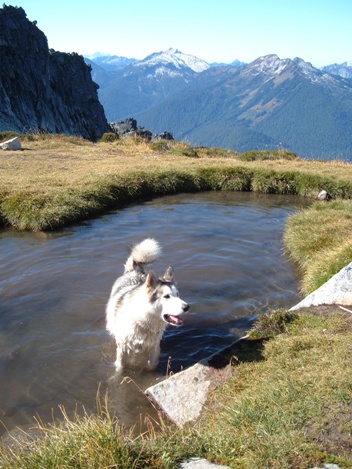 alpine tarn