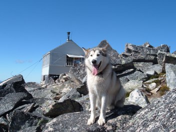 Hidden Peaks Lookout