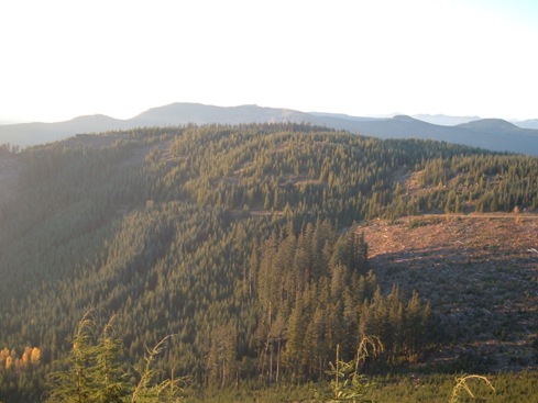 Greenwater Hiking