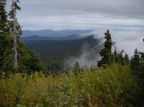 Bird Mountain view