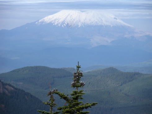 Mt. St. Helens 