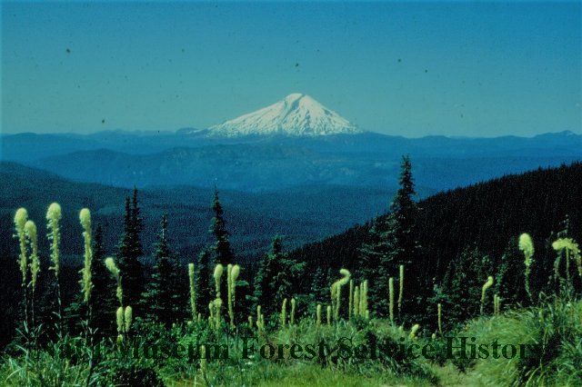 Mt. St. Helens