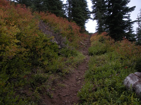 steamboat mountain trail