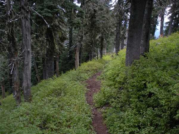 steamboat mountain trail