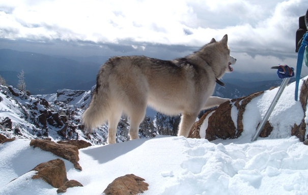 Iron Mountain summit