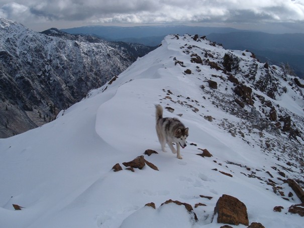 Iron Peak summit