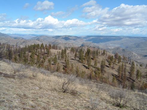 Area of Lake Chelan