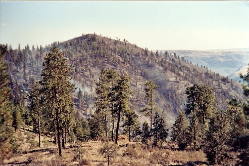 Deer Butte Fire